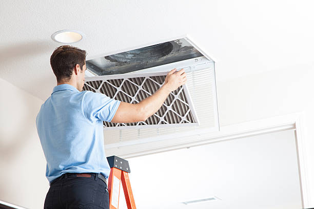 Best Air Filters and Purifiers in Moosic, PA